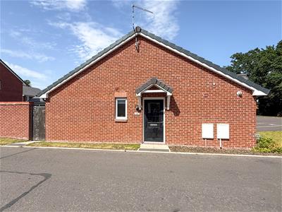 Picture 14